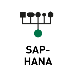 Bild för kategori SAP-HANA