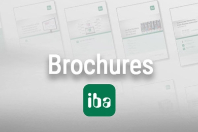 Picture for category iba Brochures